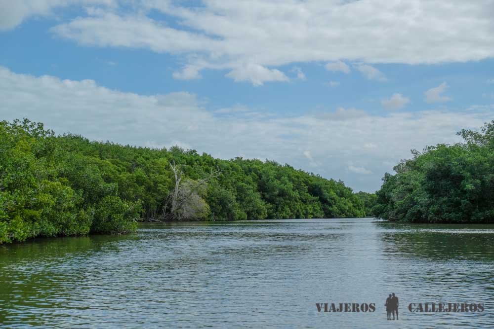 Tour Río Lagartos en Yucatán