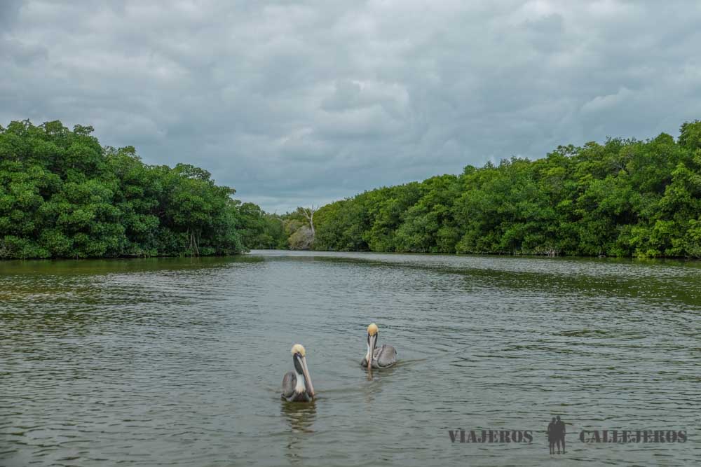 Tour Río Lagartos en Yucatán