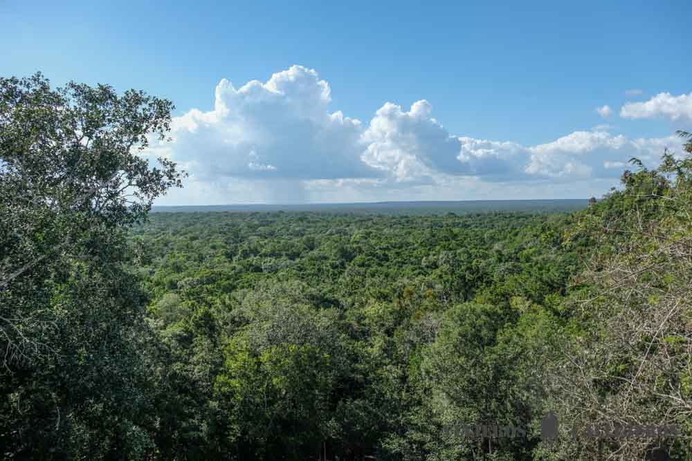 Calakmul desde las alturas