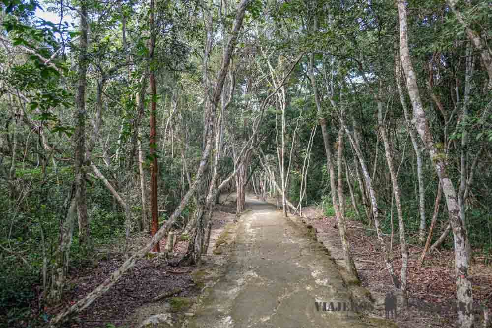 Sendero de acceso a Chicanná