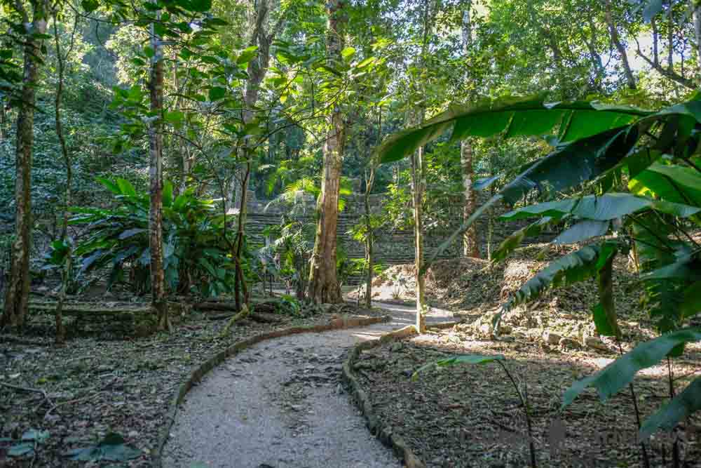 Senderos del recinto arqueológico de Palenque