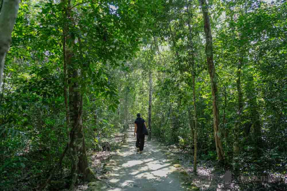 Senderos Calakmul
