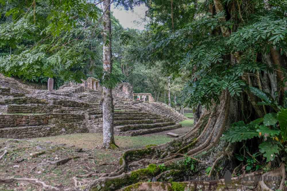Yaxchilán