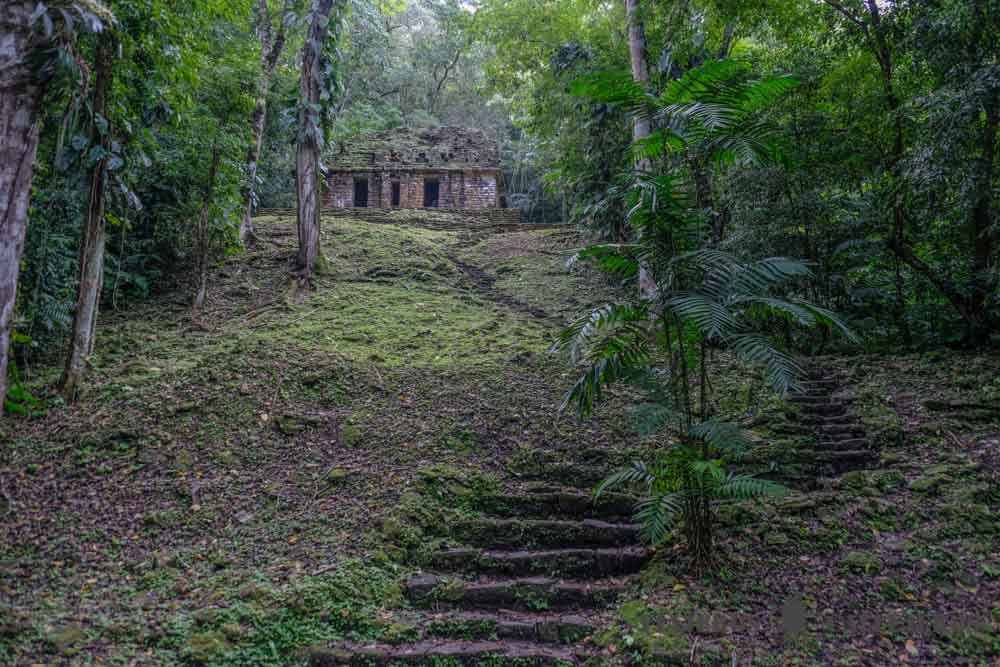 Yaxchilán