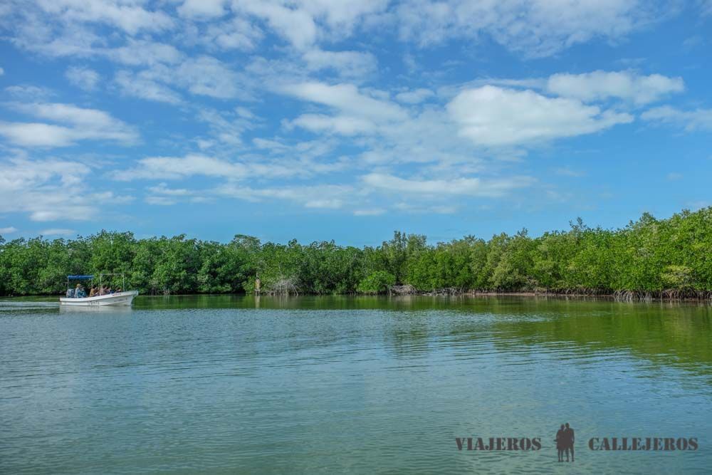 Tour Río Lagartos en Yucatán