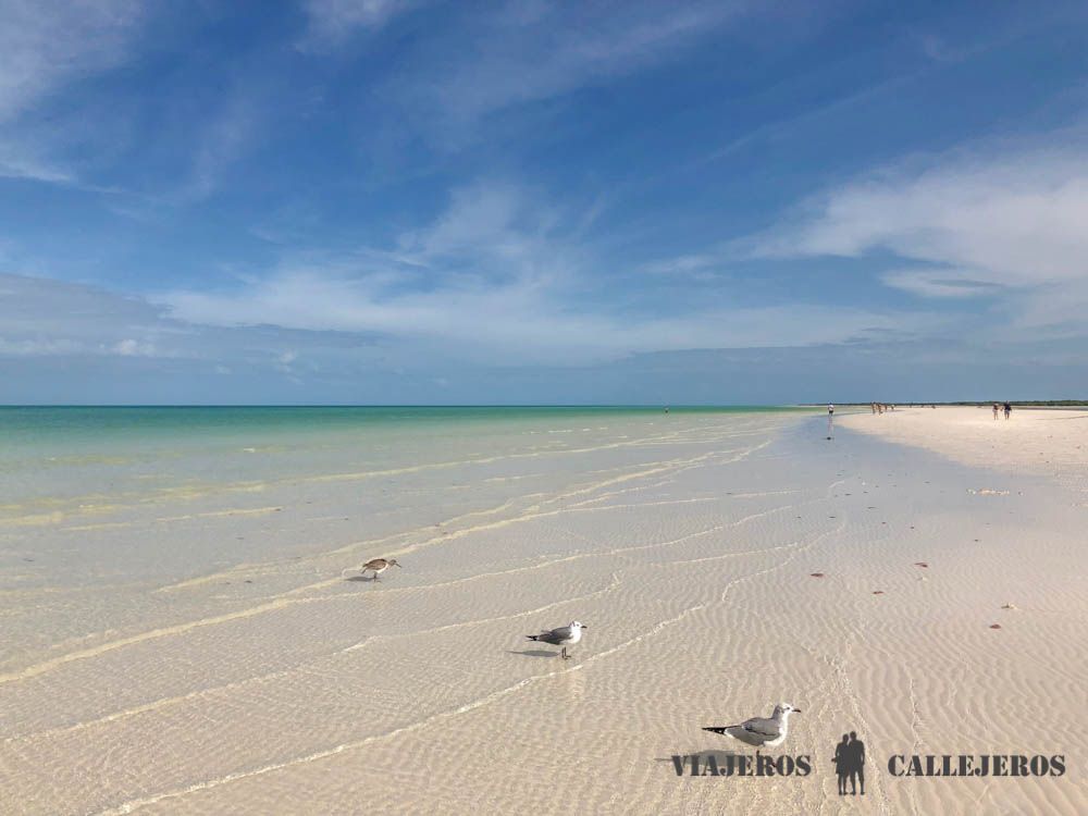 Punta Mosquitos