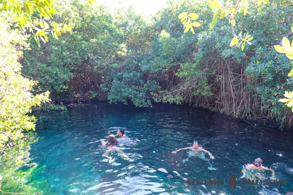 Cenote Xcacelito