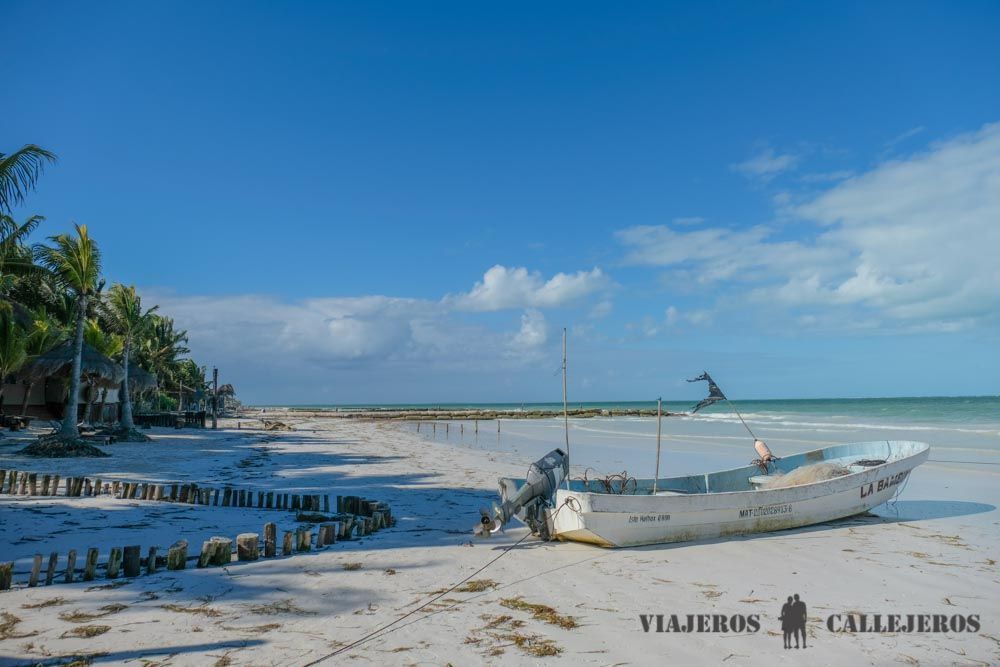 Paseo a Punta Cocos