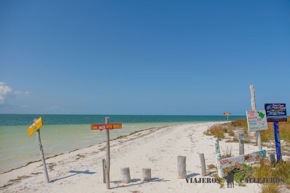 Zona de anidación de tortugas en Punta Cocos