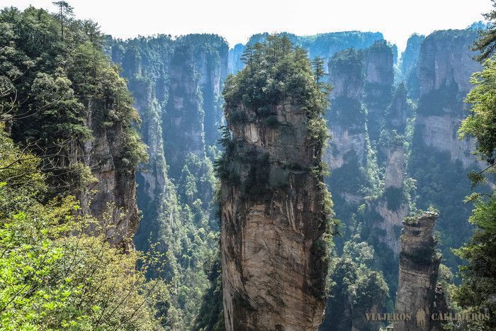 Parque Nacional de Zhangjiajie, que ver en China