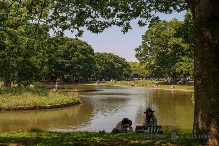 Parque Yoyogi
