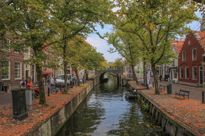 Edam