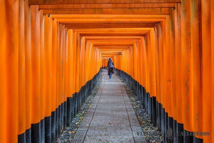 Santuario Fushimi Inari