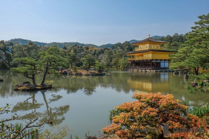 El templo Kinkakuji