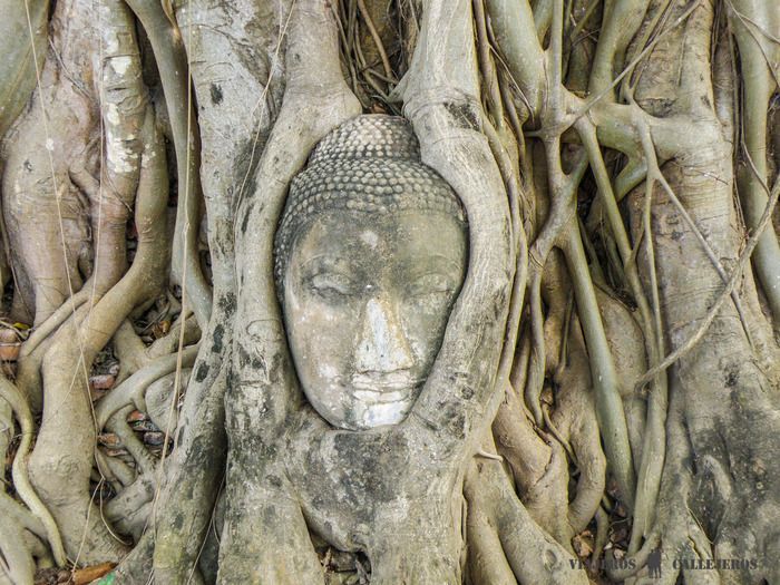 Ayutthaya