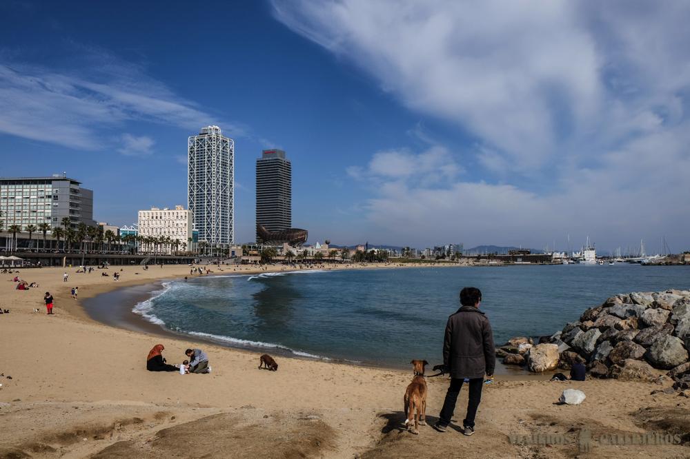 La Barceloneta
