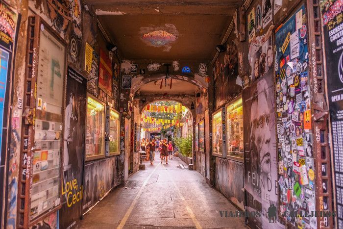 Dead Chicken Alley