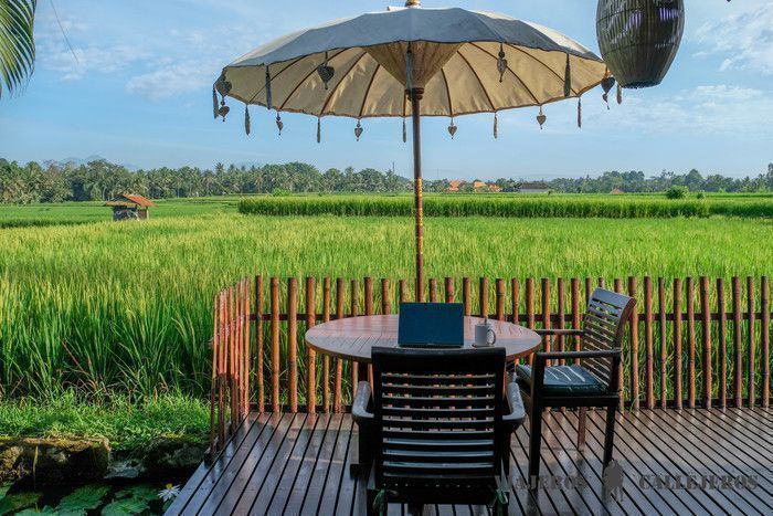 Arrozales de alrededor de Ubud