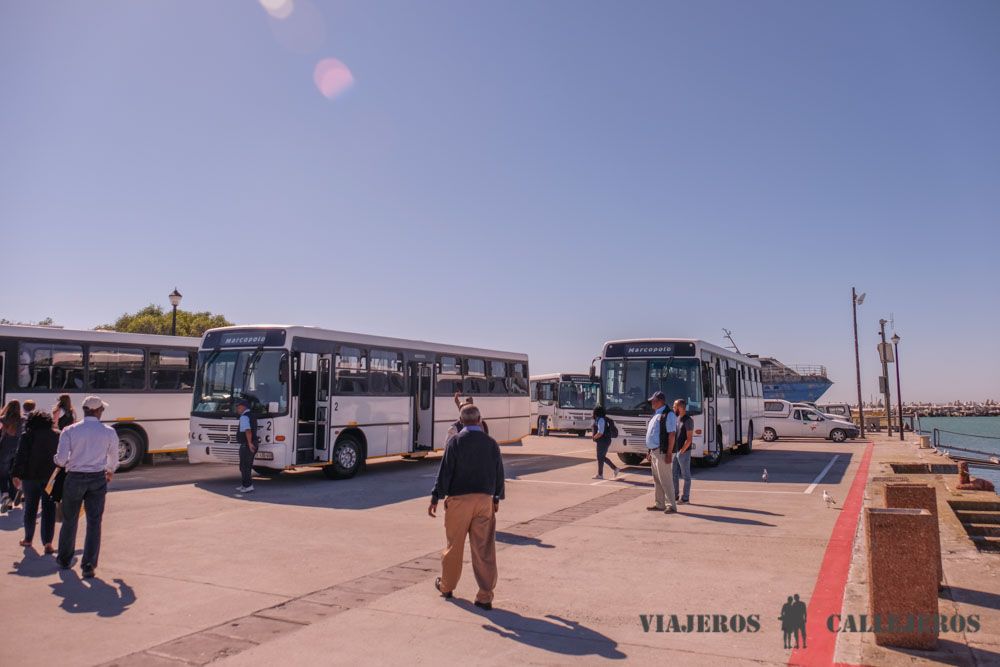 Autobuses Robben Island