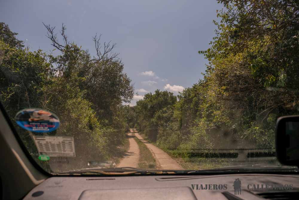Senderos sin asfaltar en Isimangaliso