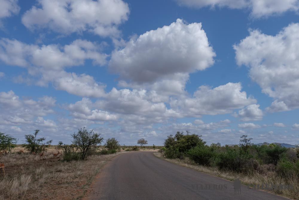 Parque Nacional Kruger