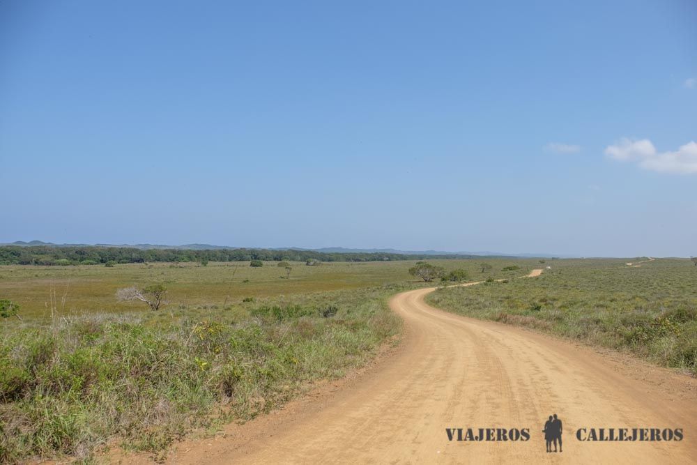 Isimangaliso