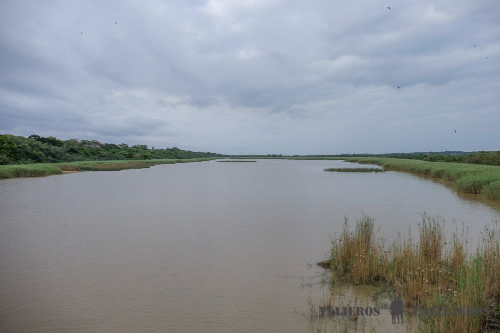 Estuario de Santa Lucía