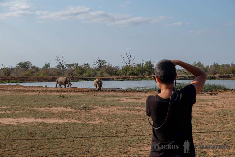 Rinocerontes en la charca de Ndolovu Camp