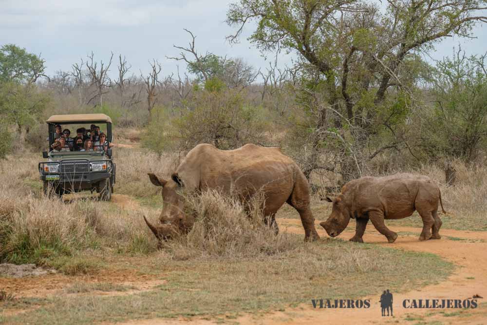 Safari en Hlane
