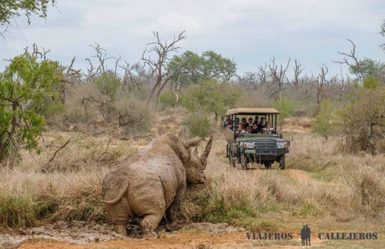 Game Drive Hlane Park