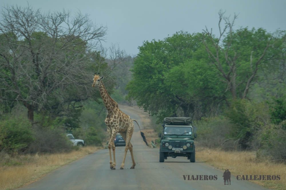 Distancias en el Kruger