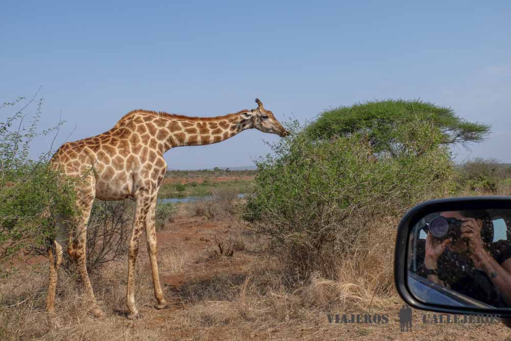 Parque Nacional Kruger