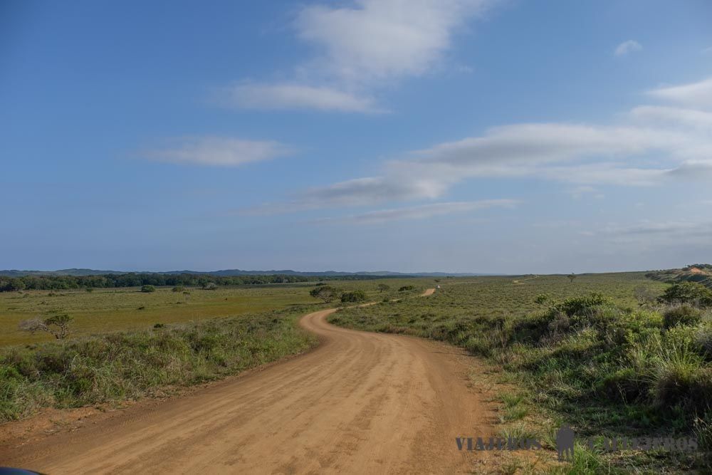 Ruta por los lugares que ver en Isimangaliso
