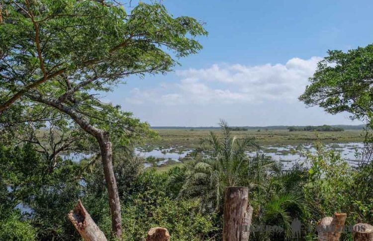 Que ver en Isimangaliso