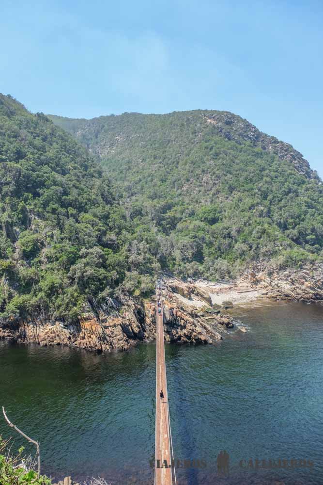 Puente colgante en Mouth Trail en el Parque Nacional Tsitsikamma
