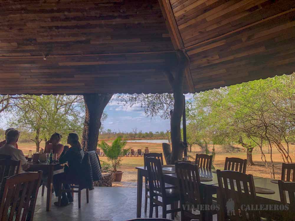 Restaurante con rinocerontes al fondo de Ndolovu Camp