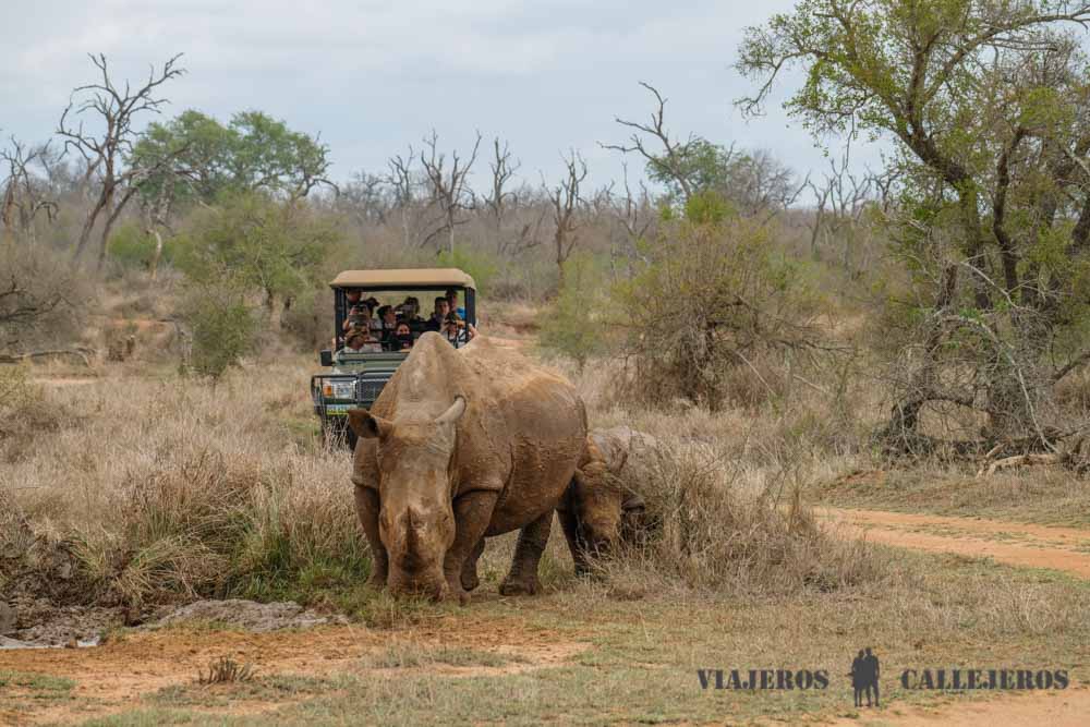 Game Drive