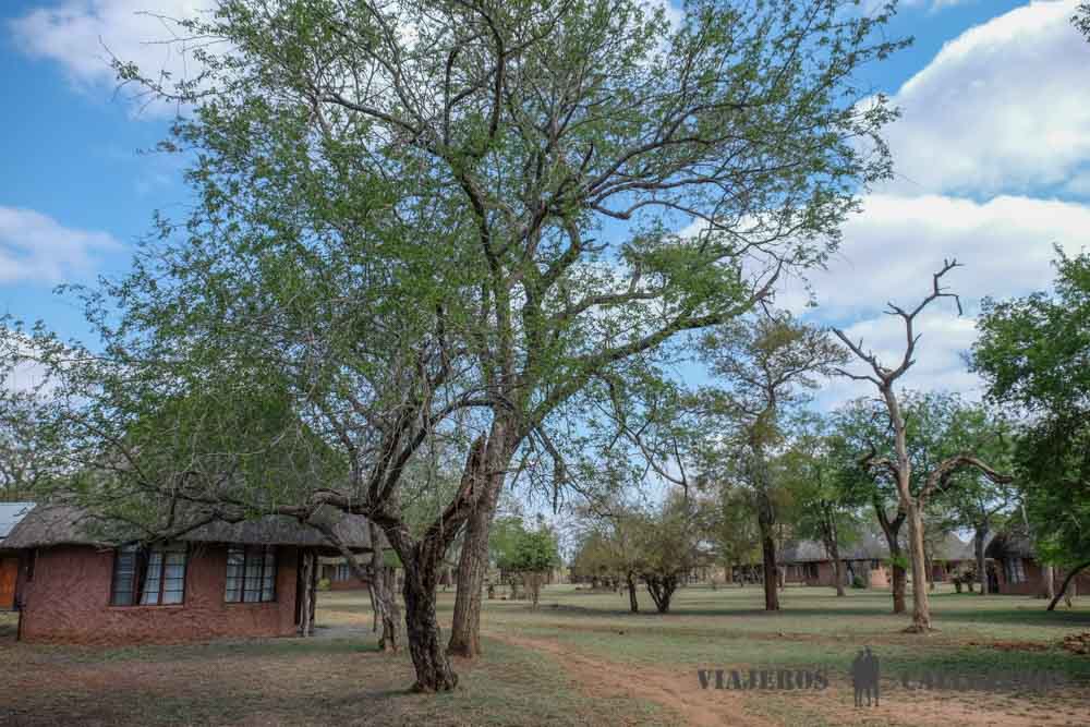 Ndolovu Camp