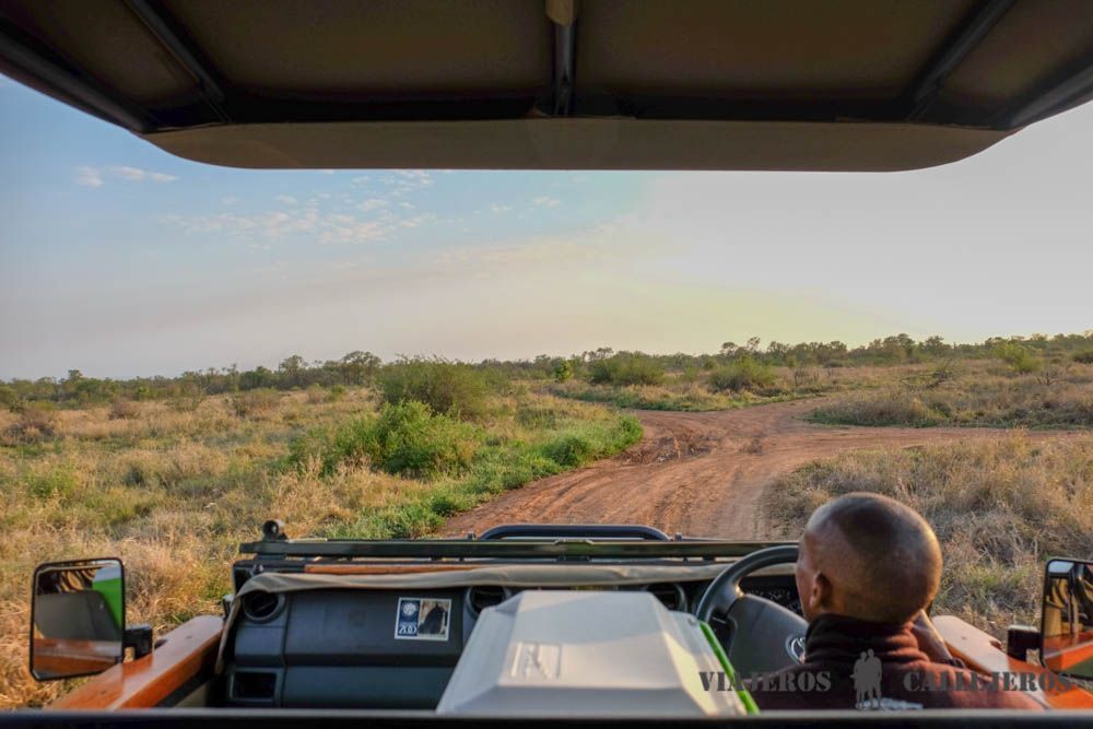 Game Drive al amanecer en Hlane