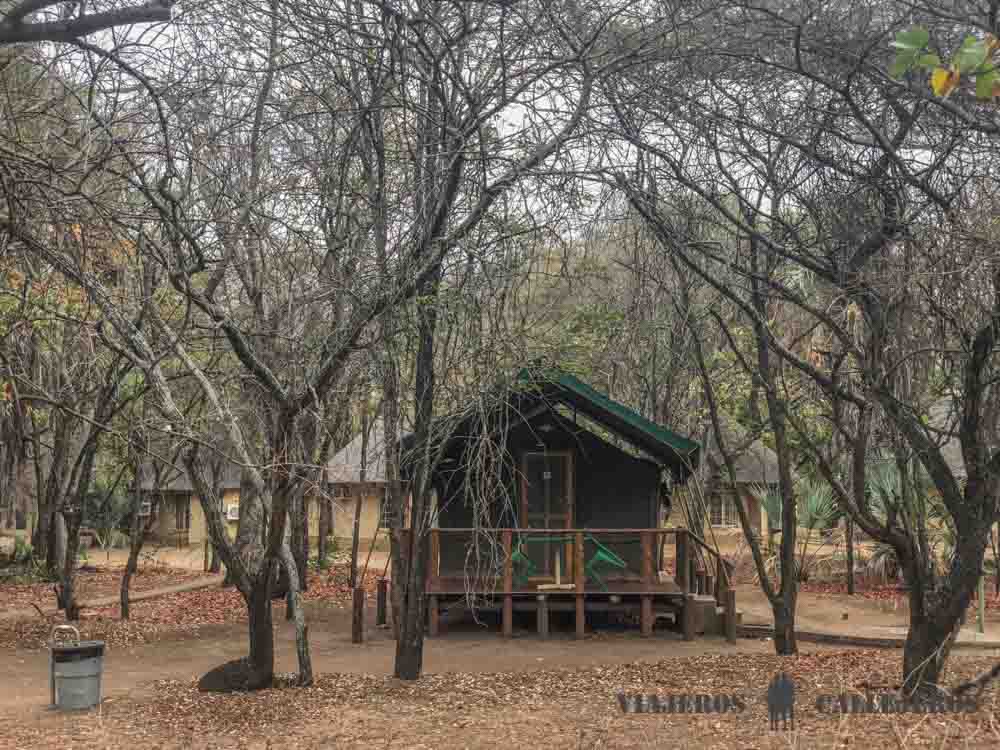 Safari Tent