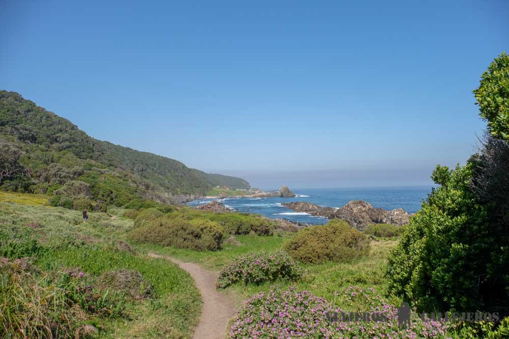 Waterfall Trail en Tsitsikamma