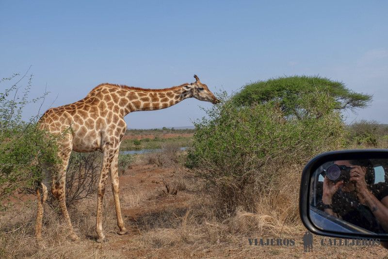 Coche de alquiler en Sudáfrica
