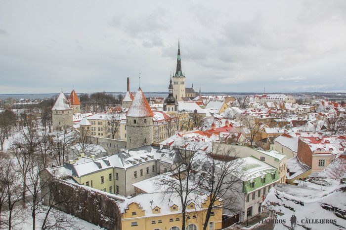 Mirador Patkuli, uno de los lugares que visitar en Tallin