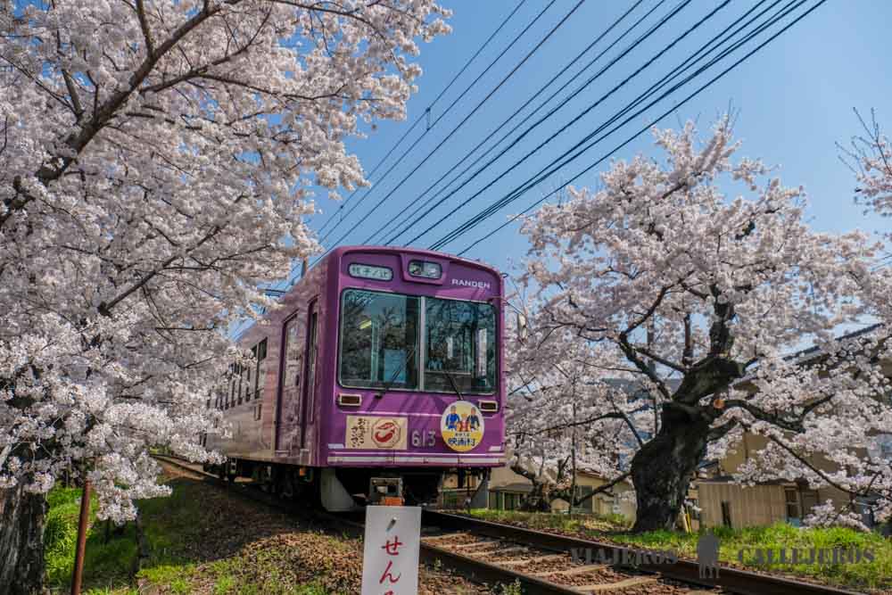 Itinerarios por Japón