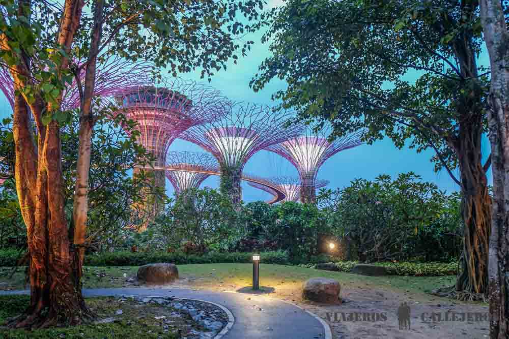 Consejos para viajar a Singapur