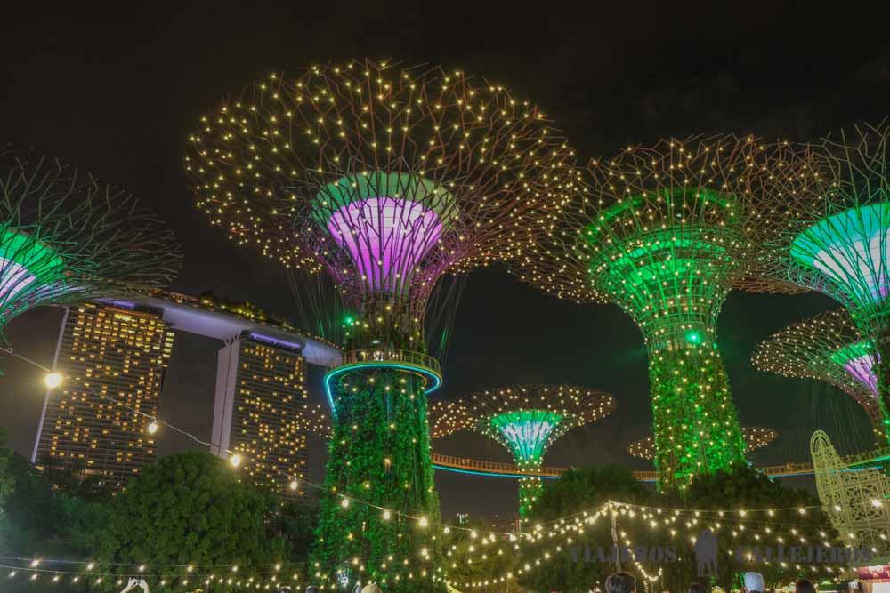 Espectáculo nocturno Rhapsody en Gardens by the Bay