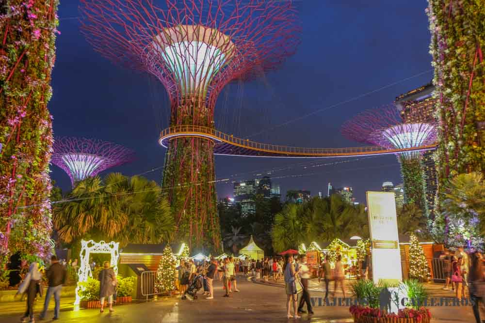 Espectáculo nocturno Rhapsody en Gardens by the Bay