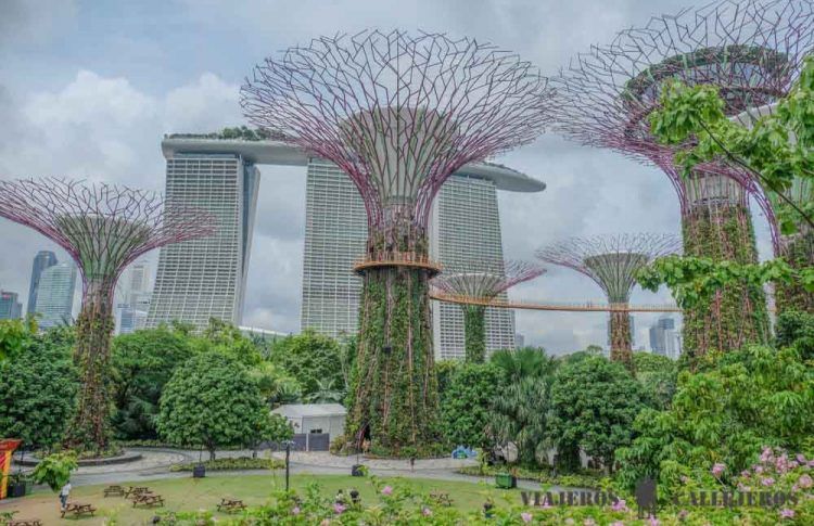 Gardens by the Bay