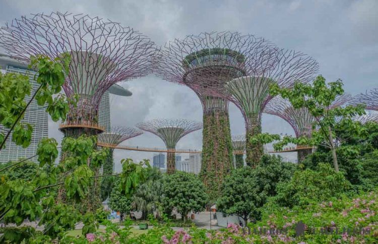 Dónde alojarse en Singapur, una de las ciudades más fascinantes del mundo