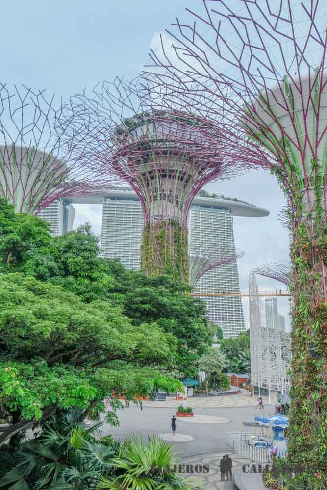 Super árboles en Gardens by the Bay